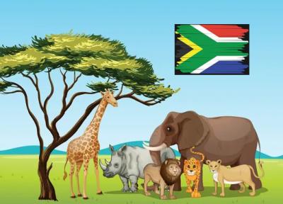 تور آفریقای جنوبی 10 روز: ژوهانسبورگ، پارک ملی کروگر و کیپ تاون، تور آفریقای جنوبی بهار و تابستان ۱۴۰۳