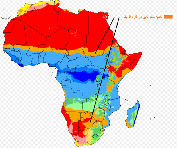 ناحیه ساوانایی در قاره آفریقا