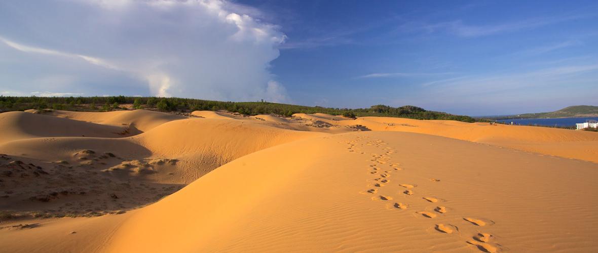 موئینه (فانتیت)