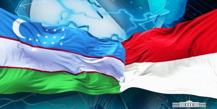 ازبکستان و اندونزی چشم انداز روابط دوجانبه را آنالیز کردند