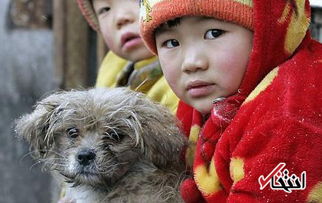 چین از سیستم هوشمند تشخیص هویت سگ ها رونمایی کرد ، روشی جدید برای جریمه صاحبان متخلف حیوانات خانگی