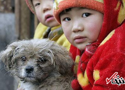 چین از سیستم هوشمند تشخیص هویت سگ ها رونمایی کرد ، روشی جدید برای جریمه صاحبان متخلف حیوانات خانگی