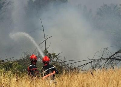 تخلیه چند مرکز گردشگری در جنوب فرانسه از بیم سرایت آتش