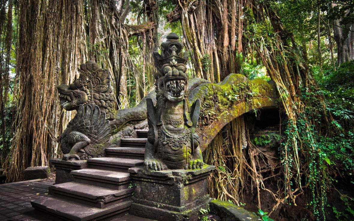 جنگل میمون ها بالی (اندونزی)