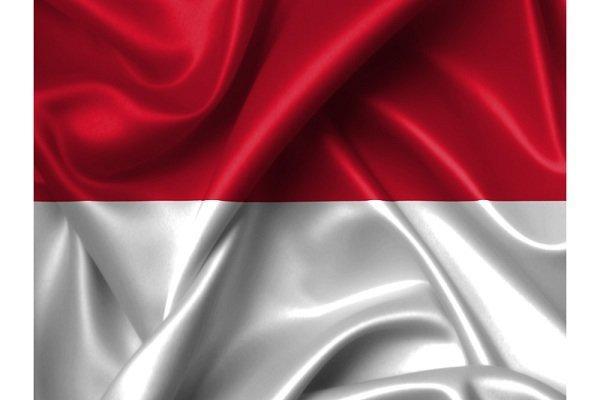 پایتخت اندونزی تغییر می نماید