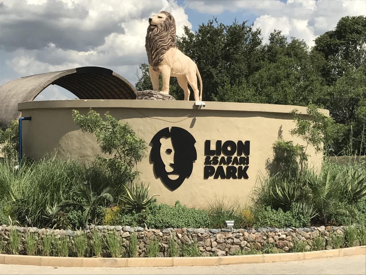 Lion Park 5