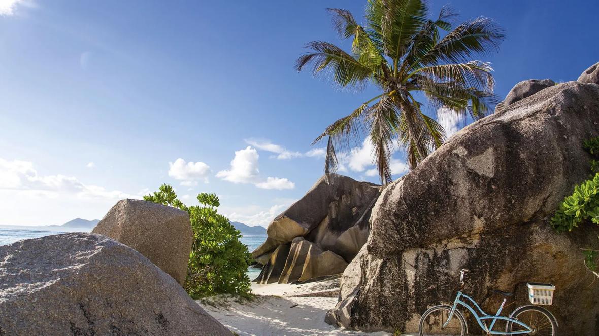 لادیگ 3 لادیگ 3