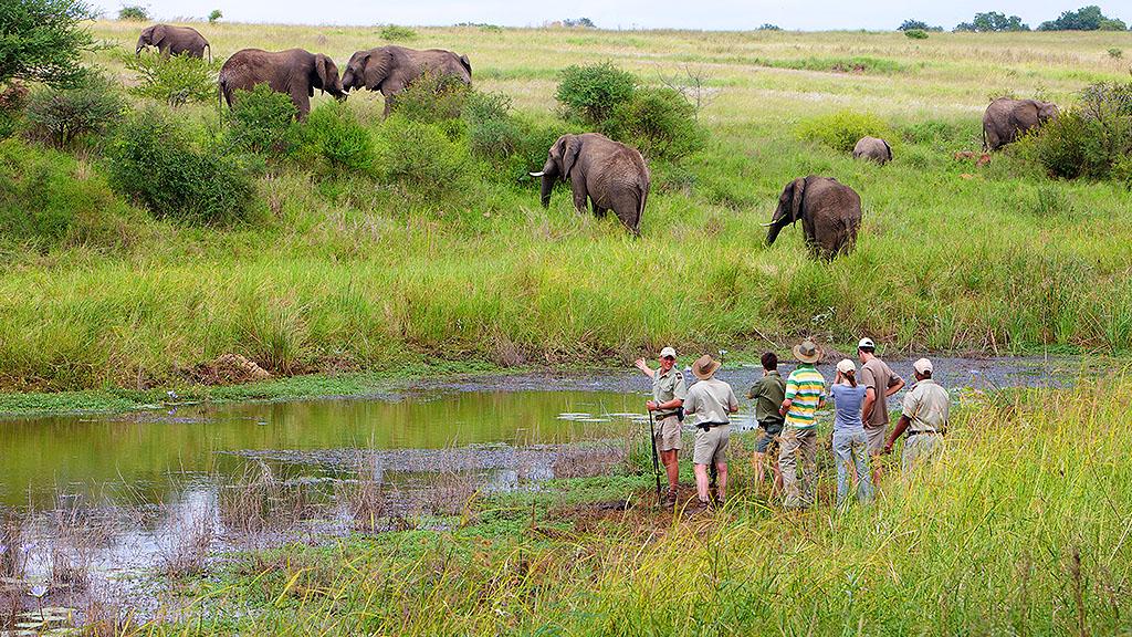 پارک ملی کروگر 5