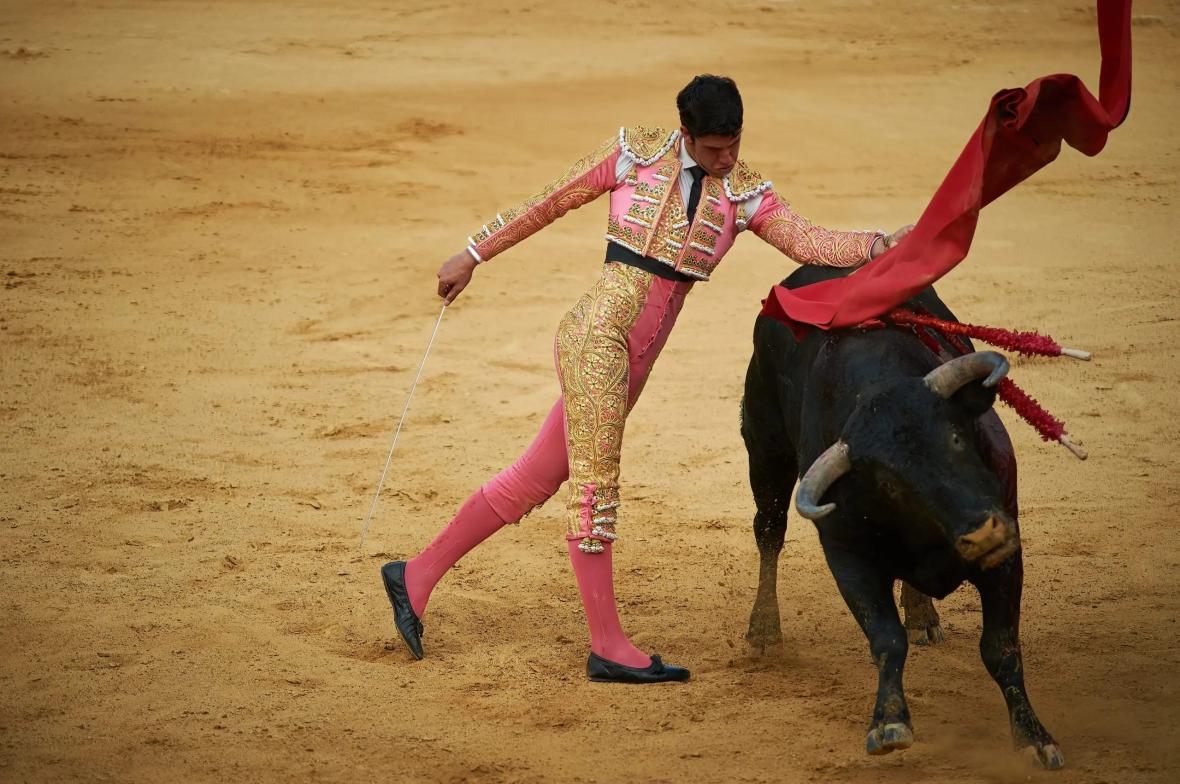 Plaza de Toros 3 Plaza de Toros 3