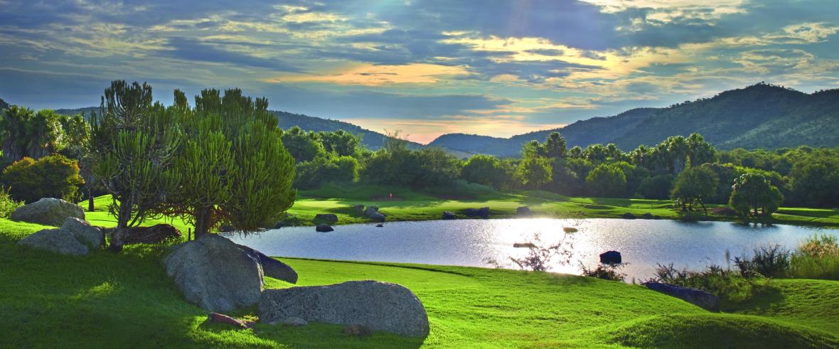 پارک جنگلی پیلانزبرگ