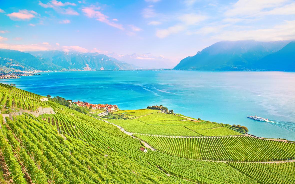 Vineyard Terraces in Lavaux