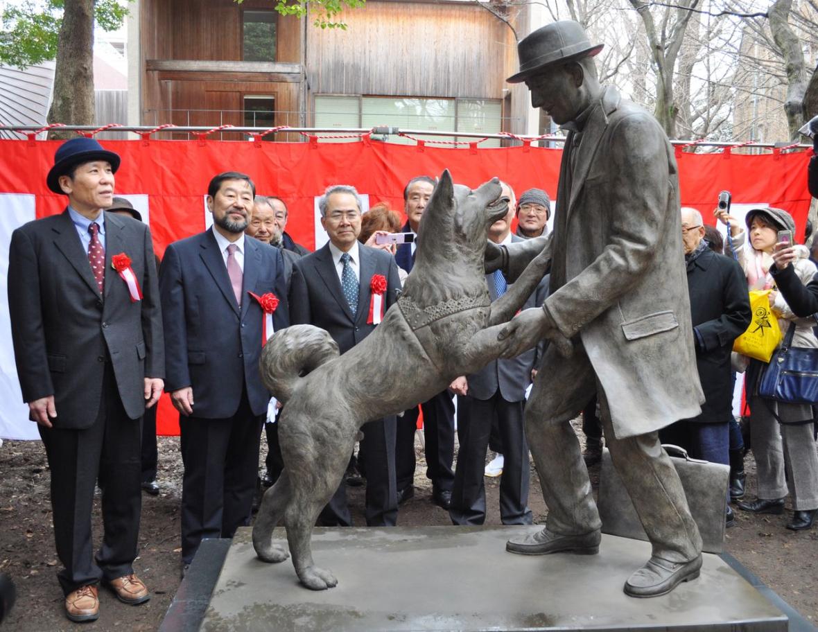 A statue depicting Hachikō greeting Professor Ueno, at the Faculty of Agriculture of the University of Tokyo, in Bunkyō