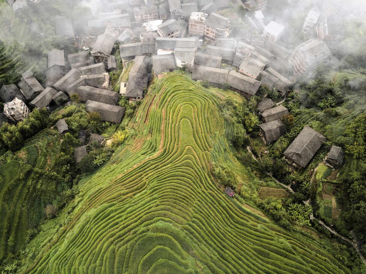 Longji Rice Terraces