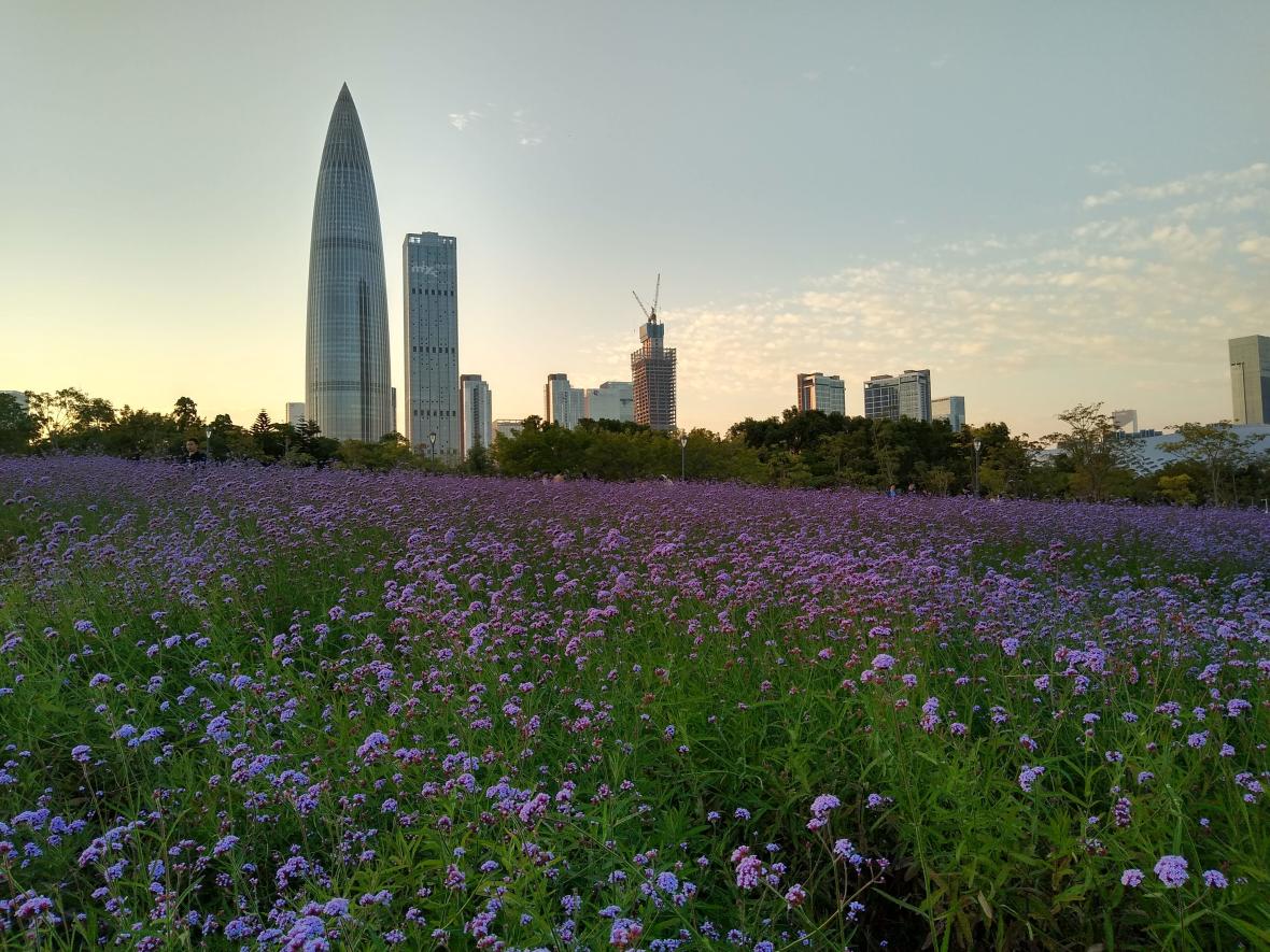 Shenzhen Bay Park Shenzhen Bay Park