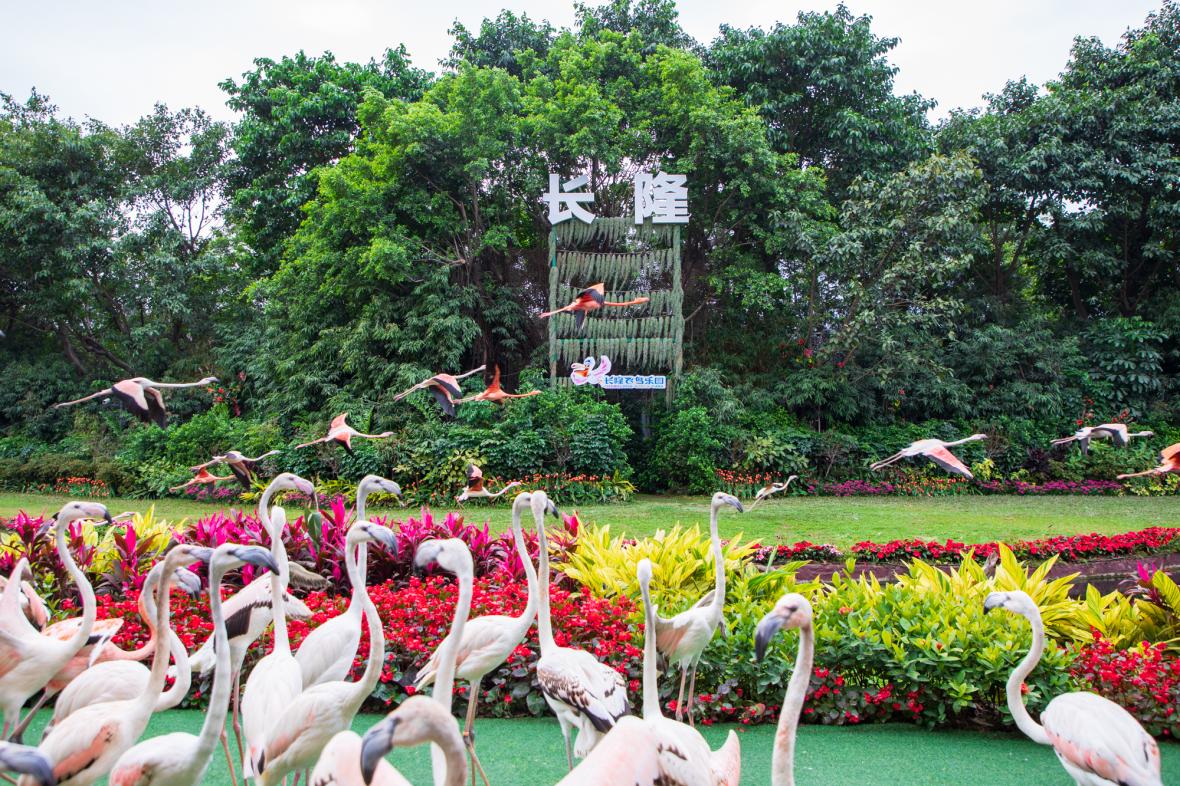Chimelong Birds Park