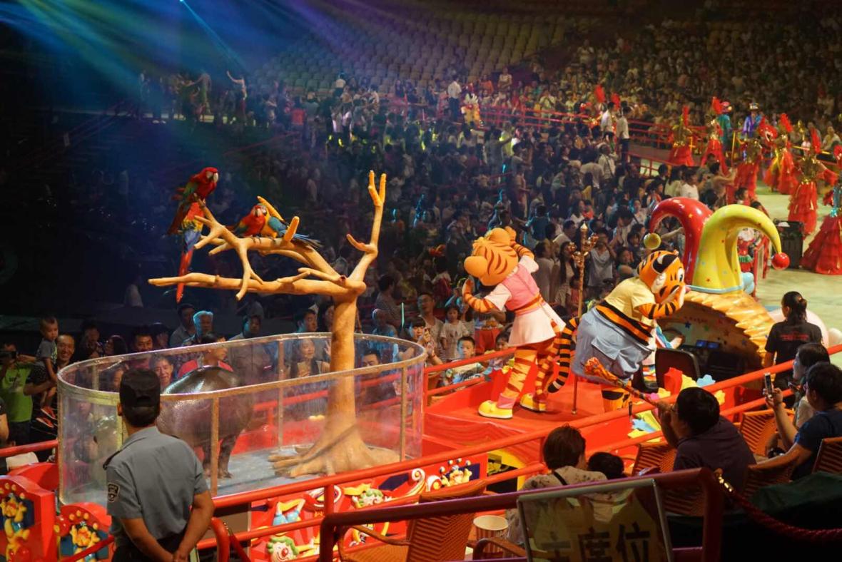 Chimelong International Circus
