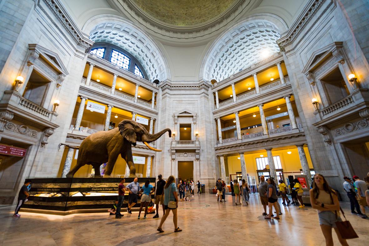 National Museum of Natural History