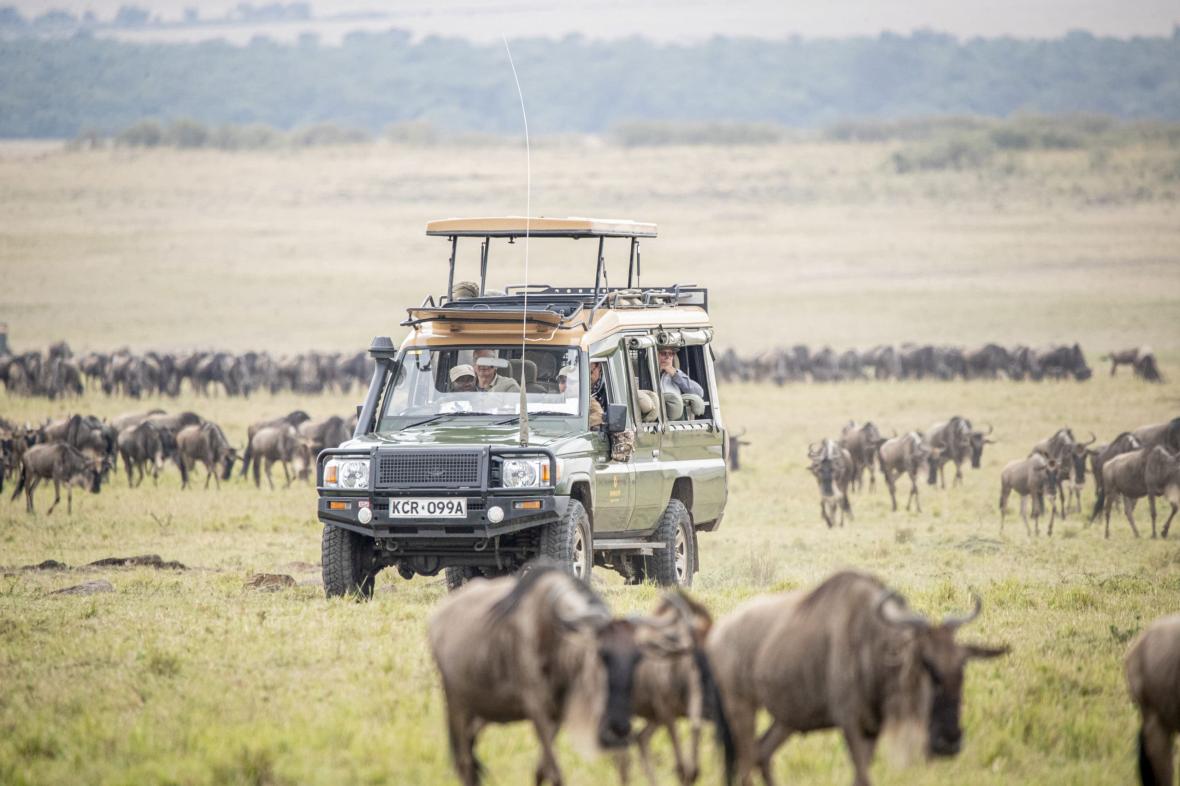 Great Migration in Masai Mara Great Migration in Masai Mara