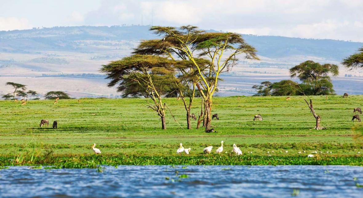 Lake Naivasha Lake Naivasha