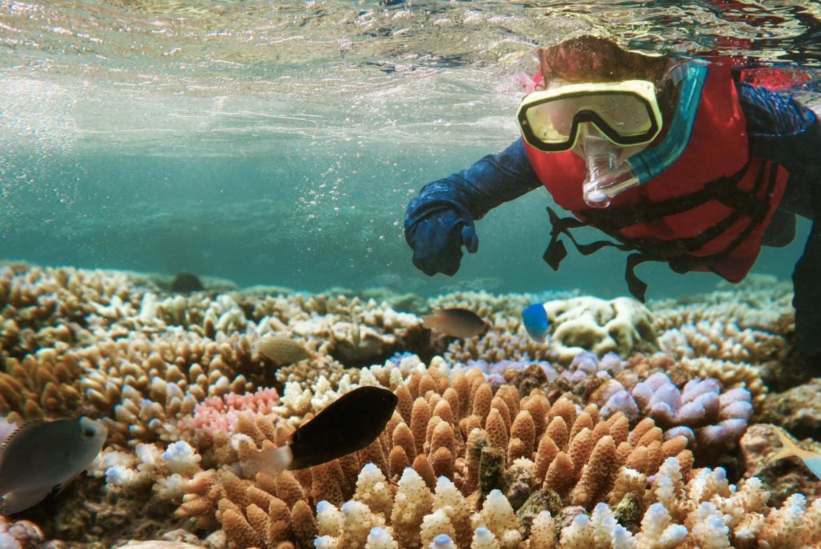 Snorkeling, Mnemba Island