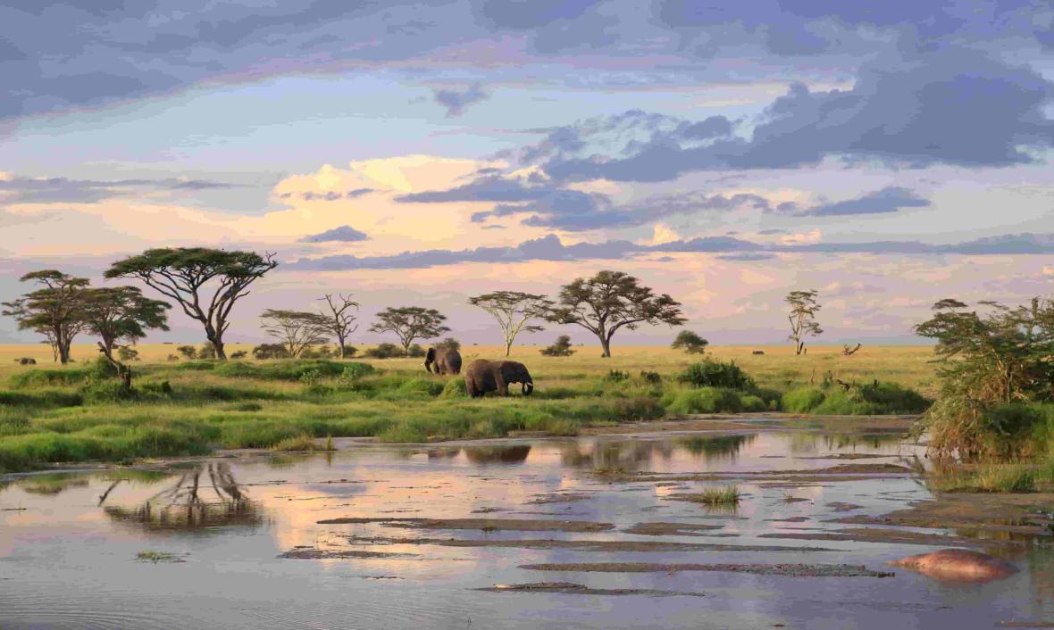Serengeti National Park