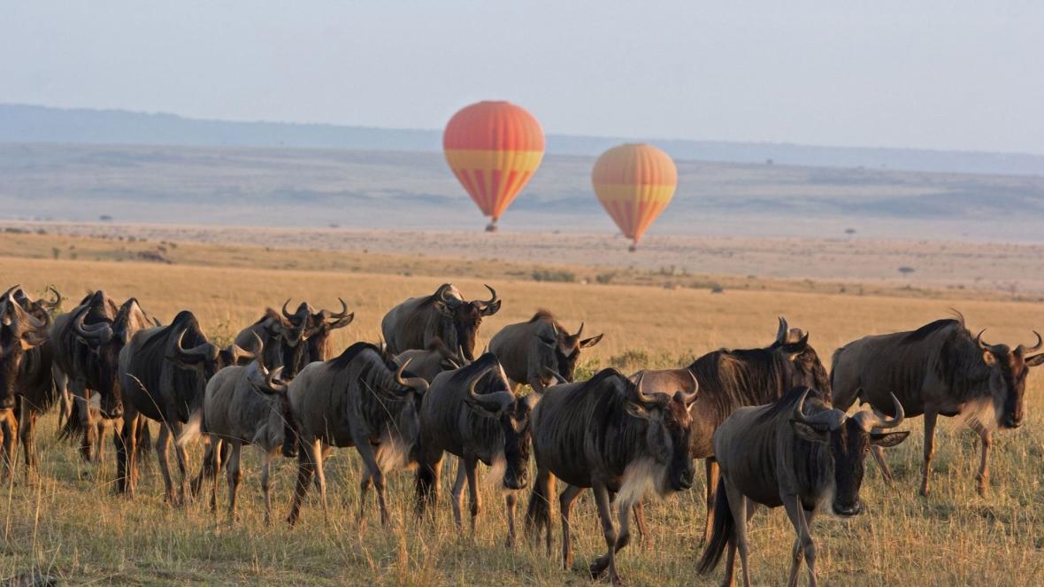Serengeti National Park