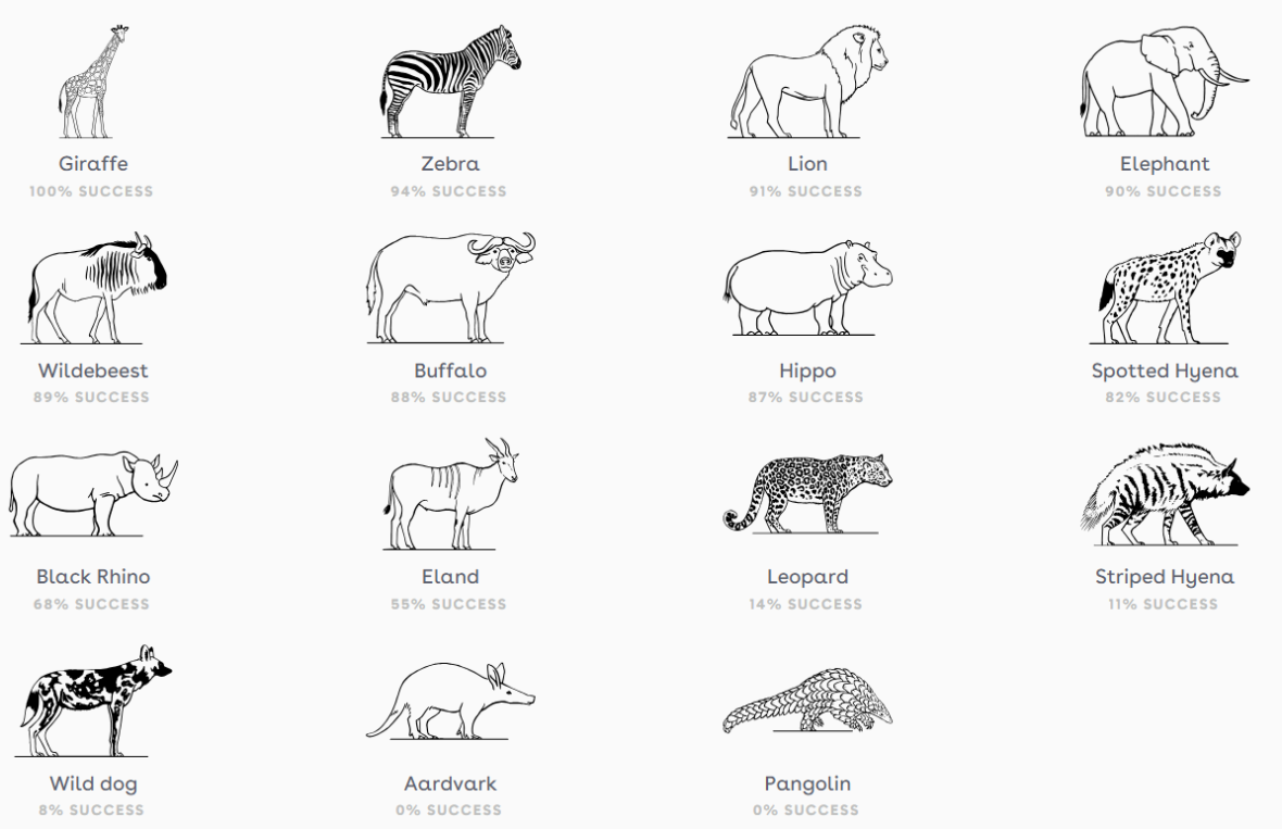 Probability of seeing wildlife in Ngorongoro