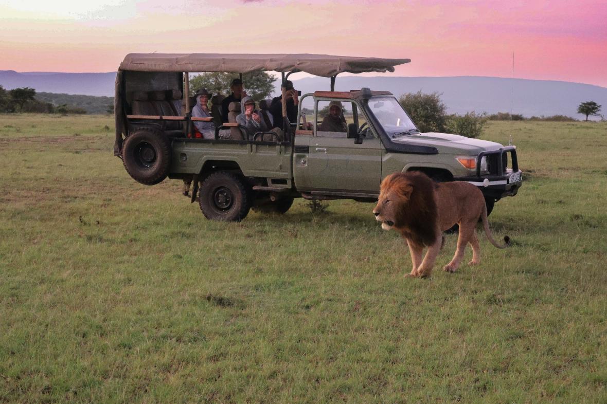 Ngorongoro Safari