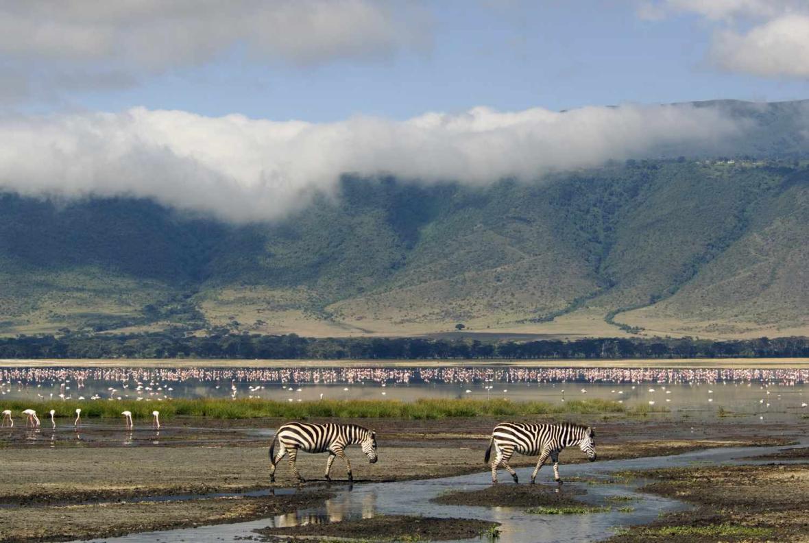 Ngorongoro Conservation Area and Crater