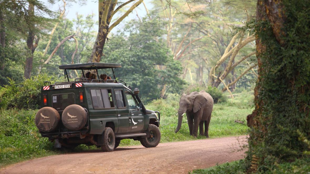 Ngorongoro Safari