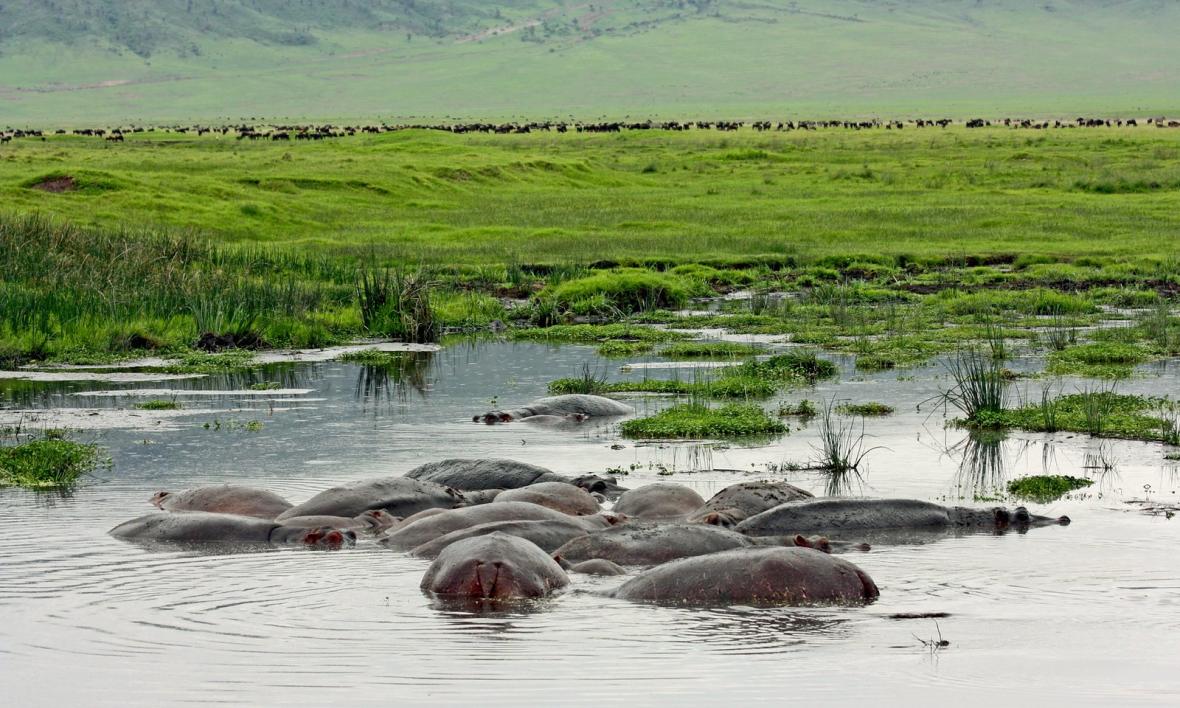 Ngorongoro Conservation Area