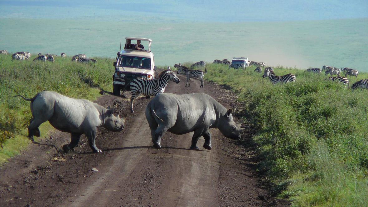 Ngorongoro Safari