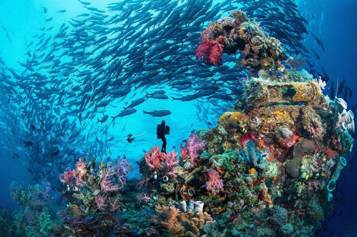 Micronesia