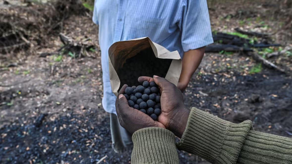 Seedballs in Kenya