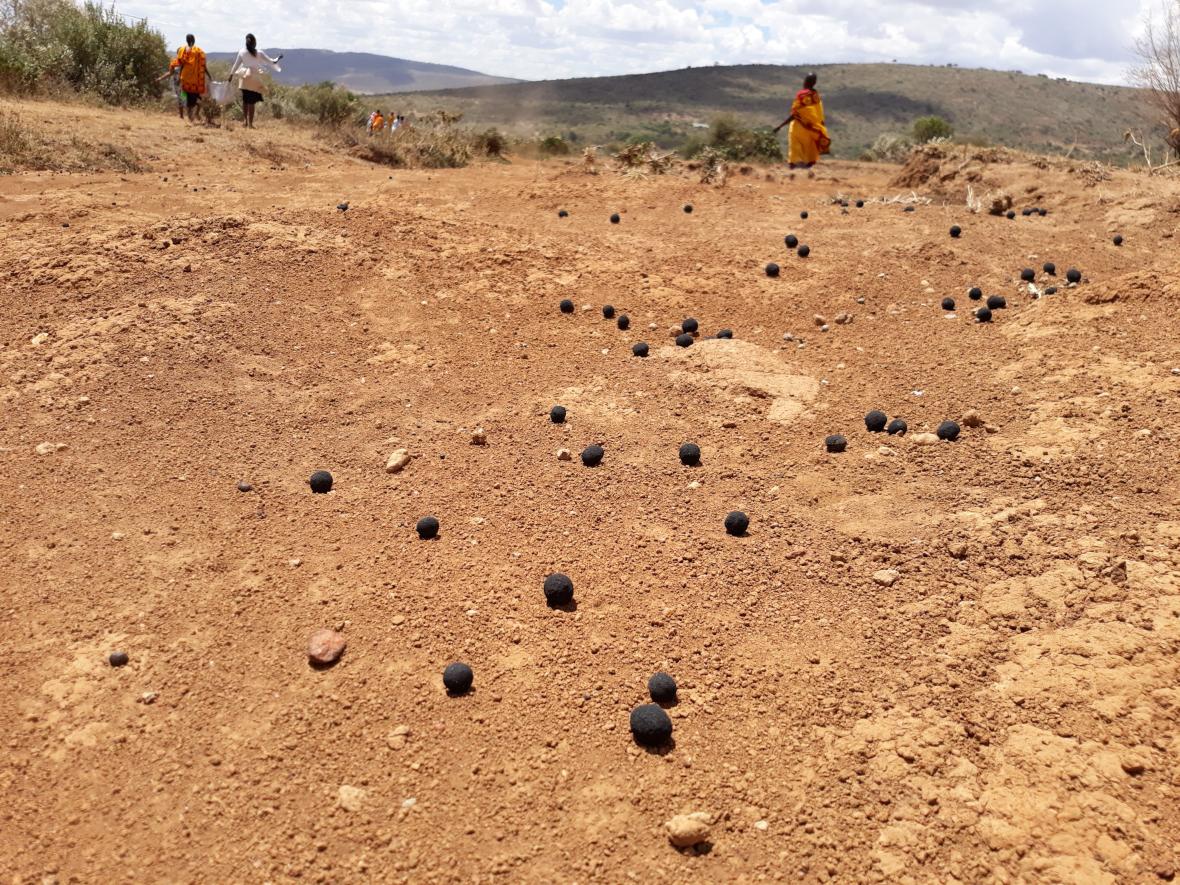 Seedballs in Kenya