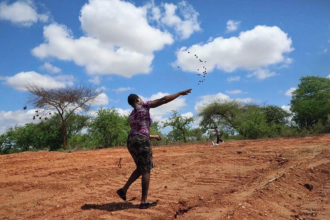 Seedballs in Kenya