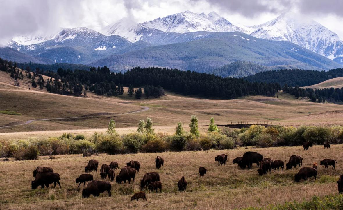 Bozeman and Big Sky, Montana Bozeman and Big Sky, Montana