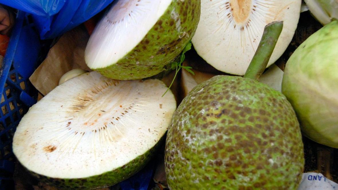 Breadfruit