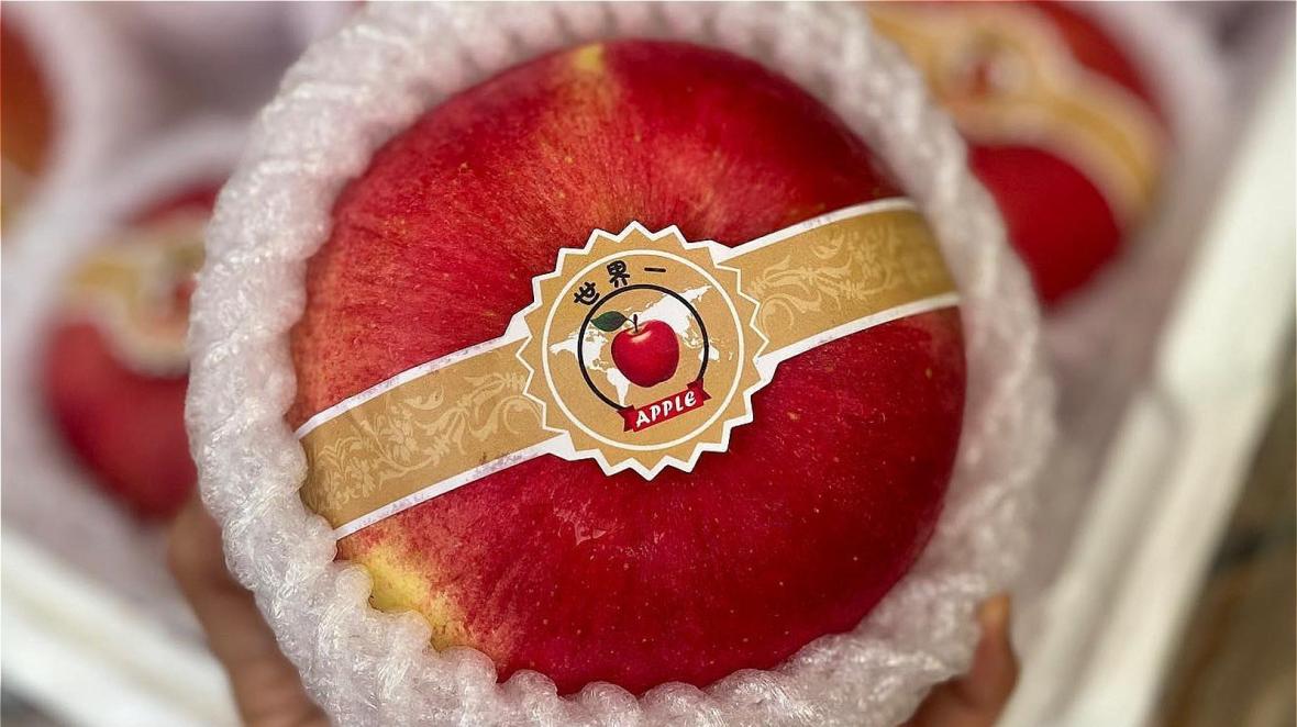 Sekai Ichi Apple