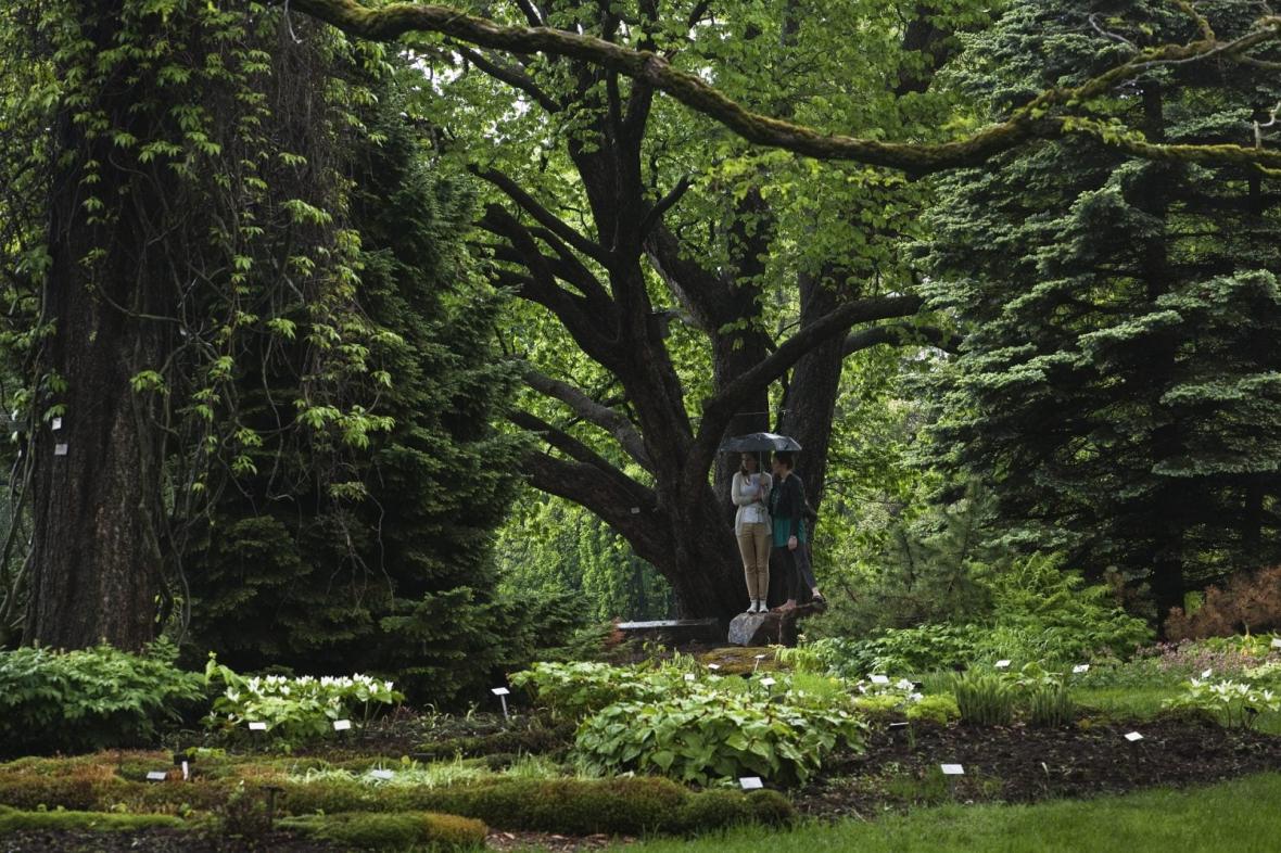 University Botanical Garden