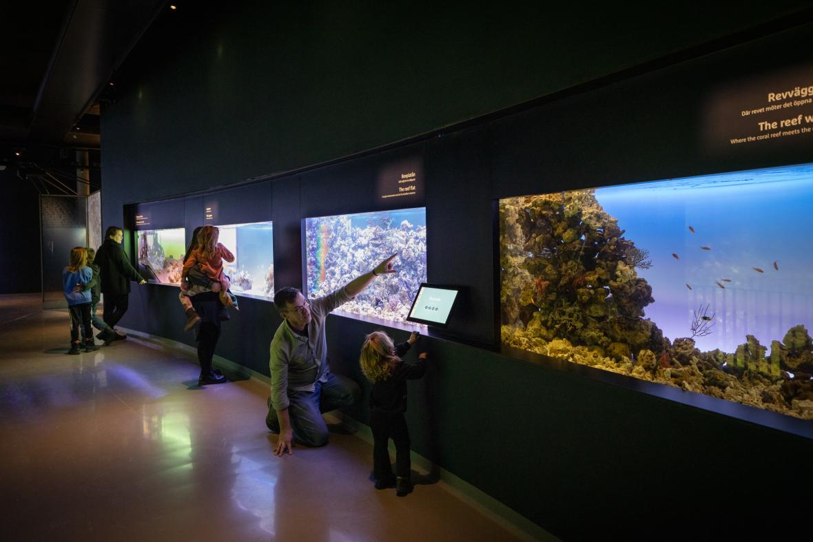 Maritime Museum and Aquarium