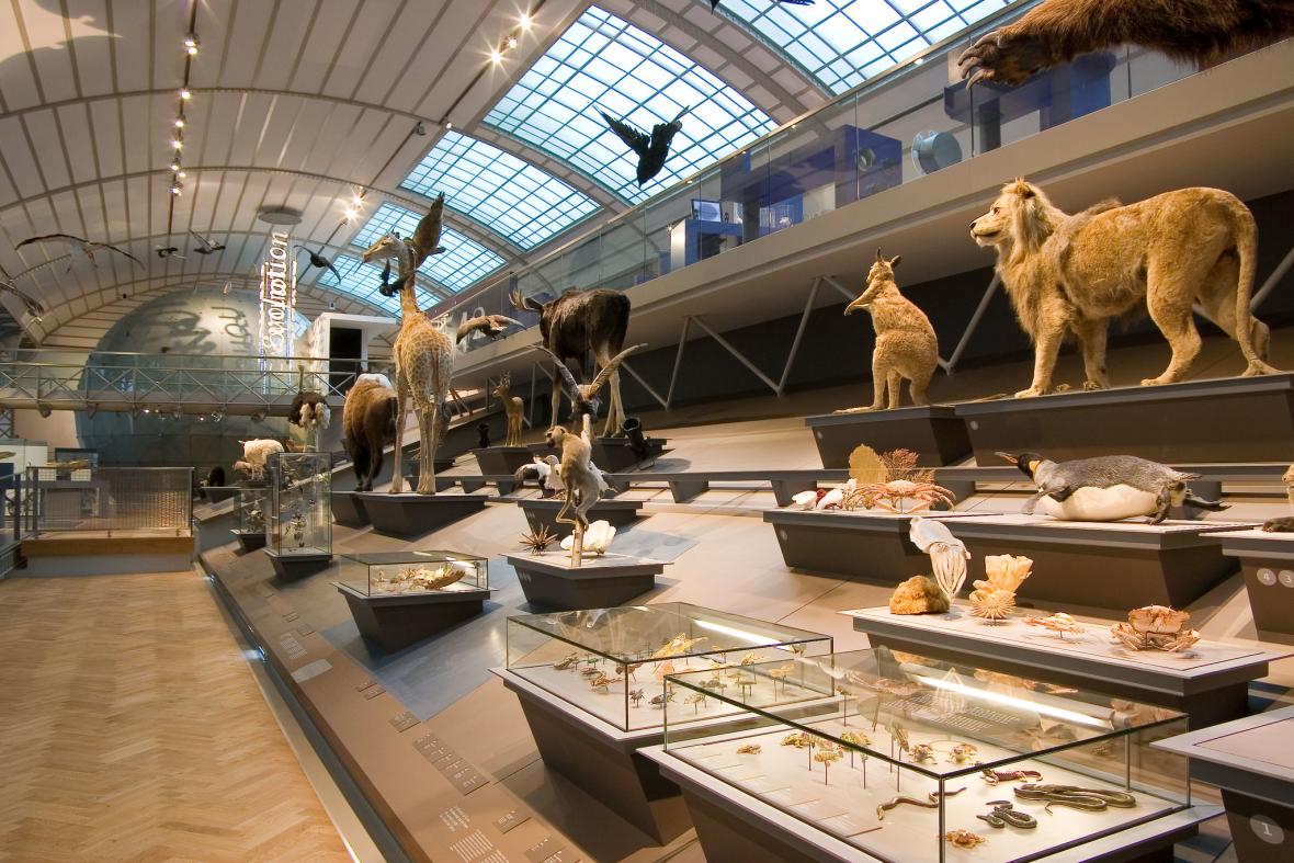 Museum of Natural Sciences
