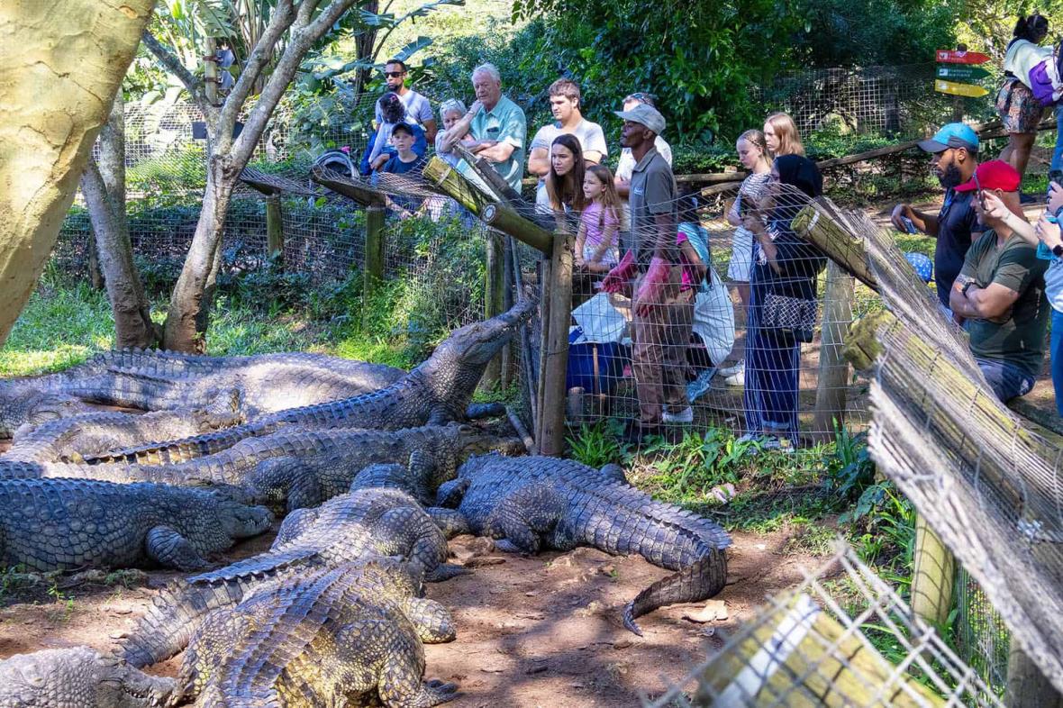 Crocworld Conservation Center