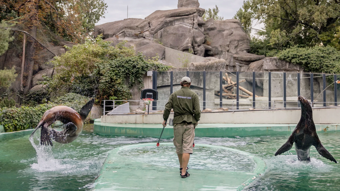 Budapest Zoo Budapest Zoo