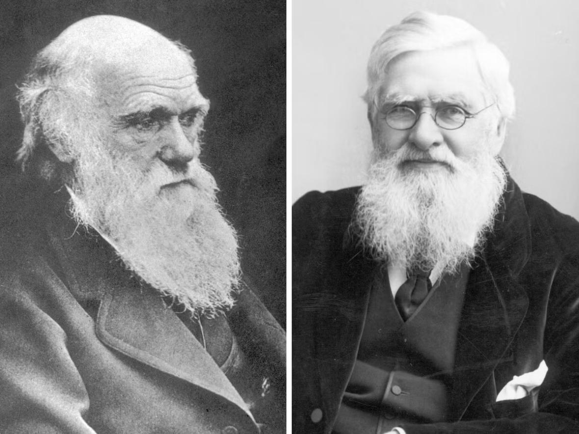 Darwin and Wallace
