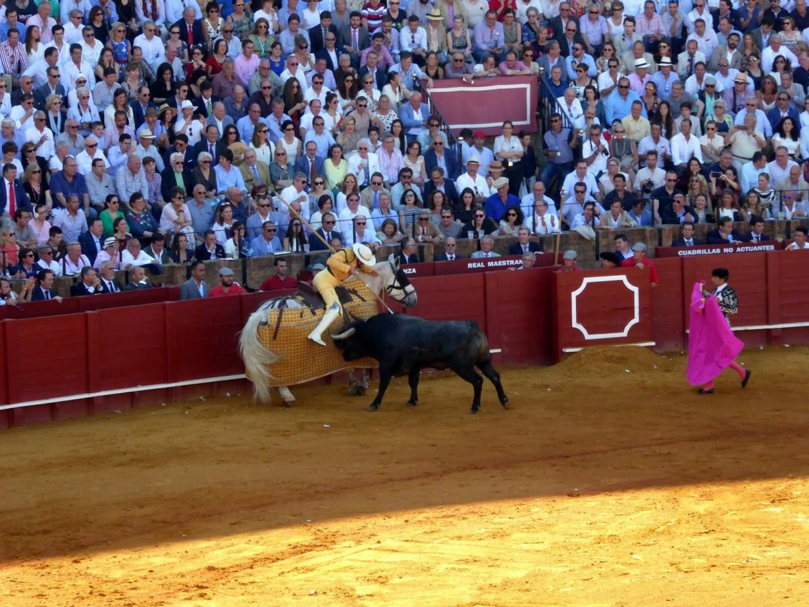 Bullfighting