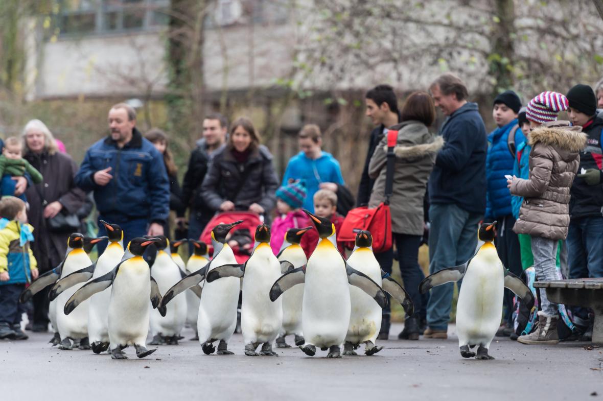 10 جاذبه گردشگری برتر بازل (سوئیس)