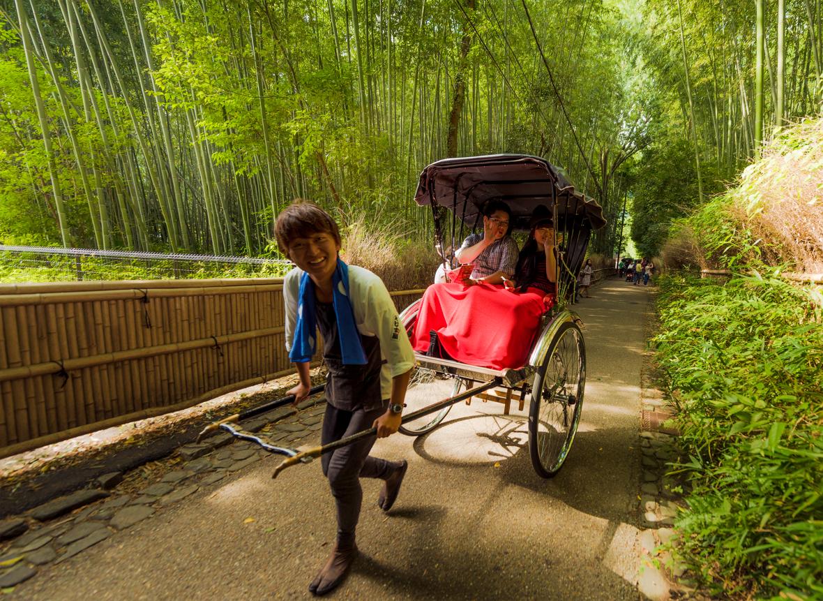 Arashiyama Bamboo Forest