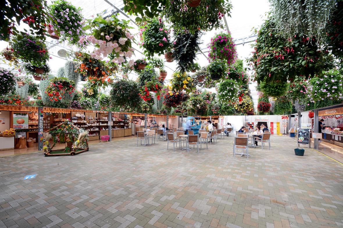 Sky Garden Sky Garden