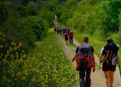 15 سفر زیارتی برتر جهان - قسمت سوم